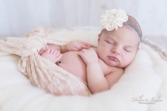 Newborn Photography Brisbane