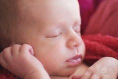 Newborn Photography Brisbane
