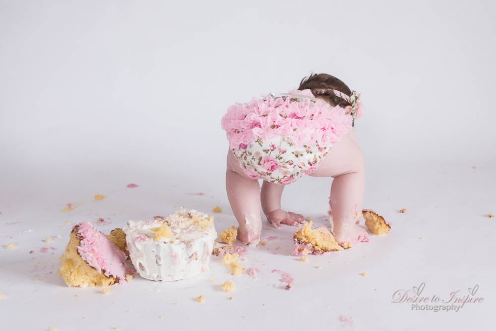 Brisbane Cake Smash Photography (29 of 39)