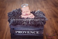 Brisbane Newborn Photographer-CS