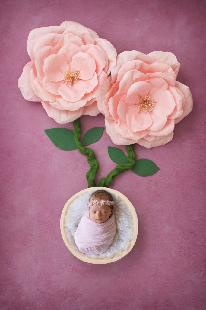 , Sobie Family in studio Maternity and Newborn. Brisbane newborn photographer, Brisbane Birth Photography