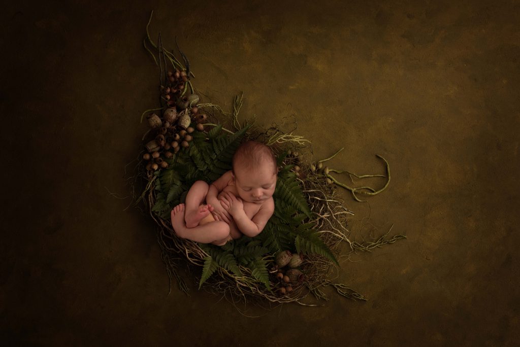 , Newborn Studio Elijah- Desire to Inspire Photography, Brisbane Birth Photography